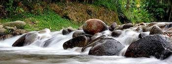 Erya By Suria Hot Spring Bentong